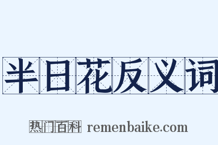 半日花反义词是什么意思的图片